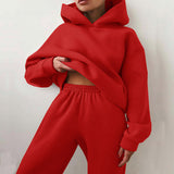 Toloer 2024 Women's Solid Color Casual Fashion Pants And Thick Long-Sleeved Hoodie Hoosuit For