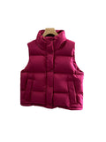 90 White Duck Down Vest Female 2024 Autumn / Winter Advanced Sense Korean Version Thickened Hooded Vest Light Luxury Vest Clip-Outfit