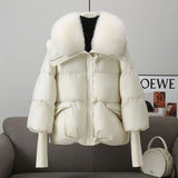 2024 Winter New Down Cotton-Padded Clothes Female Short Foreign Style Korean Version Loose Cotton-Padded Clothes Female Big Hair Collar And Thick Cotton-Padded Jacket-Outfit
