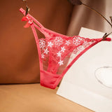 embroidery hollow mesh transparent thong women's sexy ultra-thin panties Thong Panties Sexy