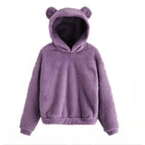 Winter New Plush Rabbit Ear Hooded Double-sided Velvet Warm Cute Sweater Casual Home Loose Pullover Fashion Tops-Outfit