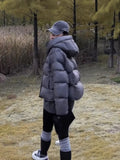 Puff Soft Glutinous Hooded Short Down Jacket Women's Winter New Thick Small Turtle Back Ken Bean Bread Coat-Outfit
