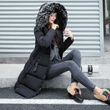 New Style In The Long Down Cotton Clothes Female Slim With Wool Collar Autumn Winter Cotton-Padded Clothes Pure Color Cotton-Padded Jacket-Outfit