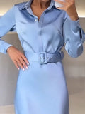 Blue Long Sleeve Ankle Length Dresses Women Silk Elegant Casual Loose Fashion Autumn New Women Dresses-Outfit