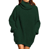 Toloer And Winter New Fashion Long Sleeve High Collar Pocket Long Dress Loose Sweater