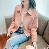 Toloer Fragrant Wind Jacket Short Jacket Female Spring And Autumn 2024 New Jacket Versatile Casual Small Waist Windbreaker-Outfit