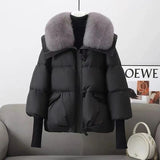 2024 Winter New Down Cotton-Padded Clothes Female Short Foreign Style Korean Version Loose Cotton-Padded Clothes Female Big Hair Collar And Thick Cotton-Padded Jacket-Outfit