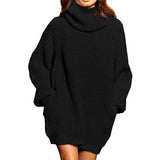 Toloer And Winter New Fashion Long Sleeve High Collar Pocket Long Dress Loose Sweater