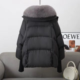 2024 Winter New Down Cotton-Padded Clothes Female Short Foreign Style Korean Version Loose Cotton-Padded Clothes Female Big Hair Collar And Thick Cotton-Padded Jacket-Outfit