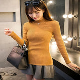 Winter Pullover Sweater Turtleneck Knitwear Long Sleeve Slim Soft Warm Basic Jumper Bottoming Women's Short Tops