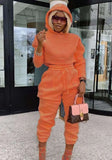 Winter Crop Top and Pants Hooded Sweatsuit with
