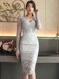 Han Queen New Bodycon Lace Dress Women V-Neck Hollow Out Spring Autumn Pencil Vestidos Knee-Length Casual Party Office Dresses-Outfit