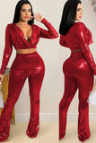 Winter Sexy Deep-V Metallic Crop Top and Pants 2 Piece