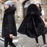 Cotton-Padded Coat Women 2023 Winter New Korean Version In The Long Down Cotton-Padded Jacket Thick Leisure Loose Cotton-Padded Jacket Women-Outfit