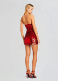 Sequin Bodycon Tube Mini Dress-Outfit