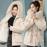 Send To Overcome The Female Short Korean Version Of Fashion Loose Tooling Down Cotton Clothes Winter Waist Large Size Thick Small Padded Clothes-Outfit