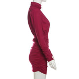 Turtleneck Long Sleeve Puff Pleated Mini Dress-Outfit