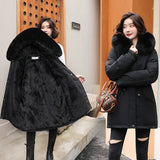 Tide Style To Overcome The Women's Short Style 2023 Winter New Korean Version Loose Fashion Big Wool Collar And Thick Plush Casual Cotton-Padded Clothes-Outfit