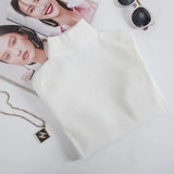 Winter Turtleneck Long Sleeve Sweater Knitted Slim Sweaters Women Casual Pullovers Women's Sweaters Pull Femme