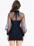 Sheer Long Sleeve Mock Neck Bodycon Mini Dress-Outfit