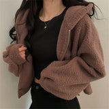 Deeptown Brown Kawaii Zip Up Crop Top Korean Style Zipper Sweatshirt 2021 Fashion Winter Warm Casual Hip Hop Long Sleeve