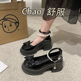 Toloer Mary Jane Single Shoes Female 2024 Spring New Fashion Sweet Thick Bottom Shallow Mouth With Skirt Thick Heel Small Leather Shoes-Outfit