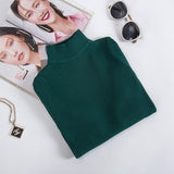 Winter Turtleneck Long Sleeve Sweater Knitted Slim Sweaters Women Casual Pullovers Women's Sweaters Pull Femme