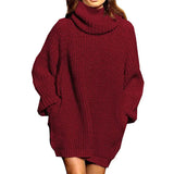 Toloer And Winter New Fashion Long Sleeve High Collar Pocket Long Dress Loose Sweater