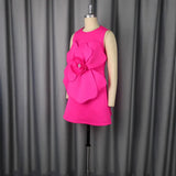 Temperament Round Collar Sleeveless Dress Three-Dimensional Flower A Set Up A Famous Party Evening Dress Dress