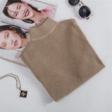 Winter Turtleneck Long Sleeve Sweater Knitted Slim Sweaters Women Casual Pullovers Women's Sweaters Pull Femme