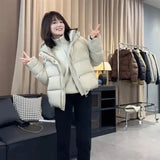The Temperament Texture Hooded White Duck Down Down Jacket Short Jacket Female Winter Casual Fashion Puff Bread Clothing Add Thick And Versatile-Outfit