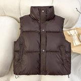 Autumn Winter Korean Version Of Foreign Style Loose And Versatile Sleeveless Short Standing Collar Down Cotton Vest Women's Design Sense Horse Clip Coat-Outfit