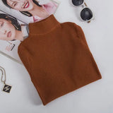 Winter Turtleneck Long Sleeve Sweater Knitted Slim Sweaters Women Casual Pullovers Women's Sweaters Pull Femme