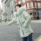 Cotton-Padded Coat Women 2023 Winter New Korean Version In The Long Down Cotton-Padded Jacket Thick Leisure Loose Cotton-Padded Jacket Women-Outfit