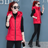 2023 New Down Cotton Vest Autumn And Winter Short Cotton-Padded Jacket Winter Horse Clip Can Take Off The Hat Vest Female Pure Color Vest-Outfit