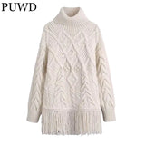 Casual Women Turtleneck Knitted Sweater 2021 Autumn Fashion Ladies High Street Vintage Sweater Female Print Knitwear