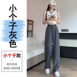 Narrow Version Wide Leg Pants Female Summer Ice Silk Pants Small Thin Hanging Feeling Straight Tube Casual Show Thin Contracted Floor Pants-Outfit