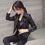 Toloer Coat Female 2024 New Spring And Autumn Female Short Slim Locomotive Leather Jacket Female Small Shi Korean Version Leather Coat-Outfit
