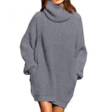 Toloer And Winter New Fashion Long Sleeve High Collar Pocket Long Dress Loose Sweater