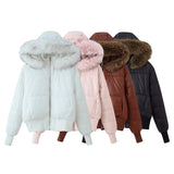 New Fashion Temperament Women's Knitted Fabric Standing Collar Warm Cotton Suit
