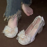 French Fairy Coarse Heel High Heels New With Skirt Design Elegant Heightening Legs Long Mary Jane