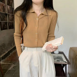 Sense Of The Small V-Neck Long-Sleeved Knitted Shirt Women's Autumn And Winter New Half-Opened Collared Blouse Bottom