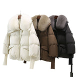 2024 Winter New Down Cotton-Padded Clothes Female Short Foreign Style Korean Version Loose Cotton-Padded Clothes Female Big Hair Collar And Thick Cotton-Padded Jacket-Outfit