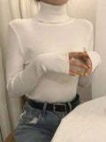 High Neck Jumper Knit Top-Outfit