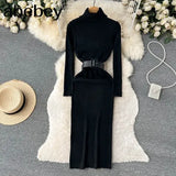 Autumn Winter Women Knitted Dress Turtleneck Sweater Dresses Lady Slim Bodycon Long Sleeve Bottoming Dress
