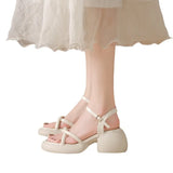 Toloer Tall Heel Sandals Female Summer 2024 New Fashion Fashion With Skirt French Thick Heel Thick Bottom Roman Shoes-Outfit
