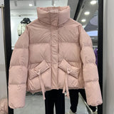Winter New Standing Collar Down Jacket Female Short Style Casual Fashion Add Thick Small Bread Clothing White Duck Down Coat Tide-Outfit