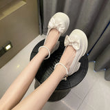 Toloer Mary Jane Single Shoes Female 2024 Spring New Fashion Sweet Thick Bottom Shallow Mouth With Skirt Thick Heel Small Leather Shoes-Outfit