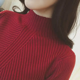 Winter Pullover Sweater Turtleneck Knitwear Long Sleeve Slim Soft Warm Basic Jumper Bottoming Women's Short Tops