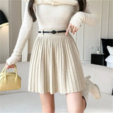 Pleated High Waist Belted Mini Skirt-Outfit